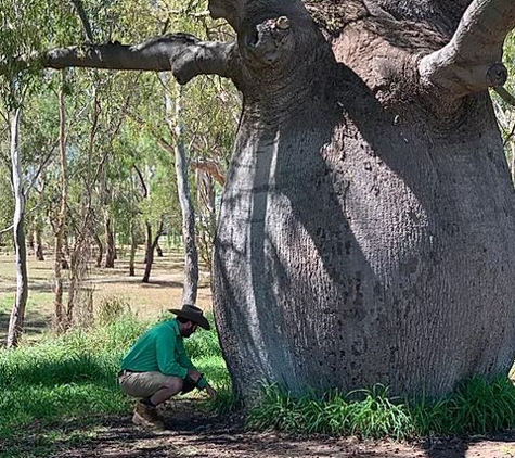 Cut Above Tree Care (Aust) Pty Ltd