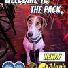 Alan's K9 Academy gallery