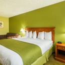 Quality Inn - Motels