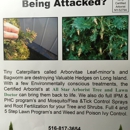 All Star Arborist - Tree Service