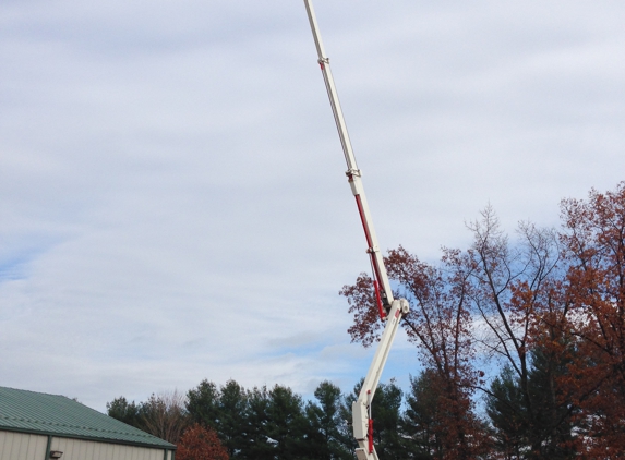 Mountain Tree Service - Somers, CT