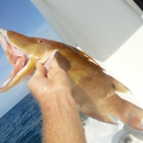 Charter Boat Shark - Fishing Lakes & Ponds