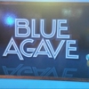 The Blue Agave gallery