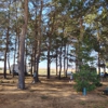 In The Pines RV Park gallery