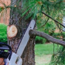Burkey's Tree Service - Tree Service