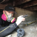 Elite Group Inspection Professionals - Inspection Service