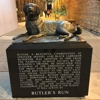 Butlers Run gallery