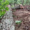 Rucker Logging and Excavation gallery