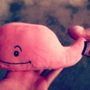 Vineyard Vines - Clothing Stores