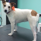 The Upscale Tail Pet Grooming Salon