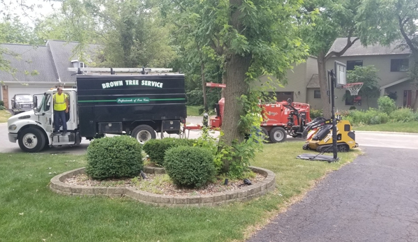 Brown Tree Service - Palatine, IL