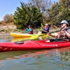 Glass Bottom Kayak Tours gallery