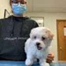 County Animal Hospital Inc - Veterinary Clinics & Hospitals
