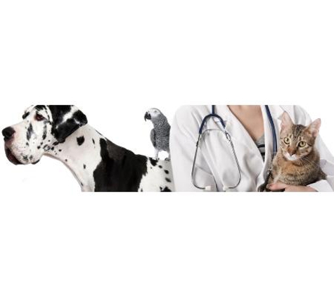 Colyton Veterinary Hospital - Oxley Park, NSW