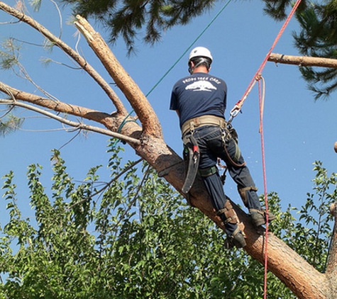 Arbor Tech Tree Care