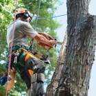 All South Tree Company