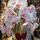 Mayflowers Floral Studios - Florists
