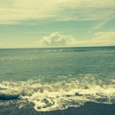 Fort Fisher State Recreation Area - Picnic Grounds