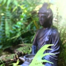 Namaste Tarot Readings - Psychics & Mediums