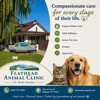 Flathead Animal Clinic gallery