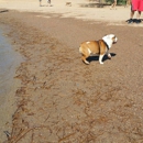 Cosmo Dog Park - Parks