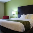 Quality Inn - Motels