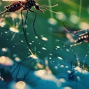 Don's Termite Specialist - Pest Control Equipment & Supplies