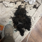 Roto-Rooter Plumbing & Water Cleanup