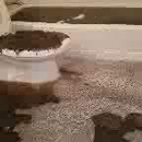 Eagles Nest Apartments - Real Estate Management