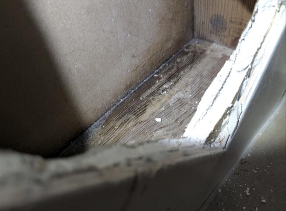 Bayview Bathrooms - Mccrae, VIC. Mould & wet plaster