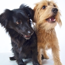 Hal's Pet Shop - Pet Services