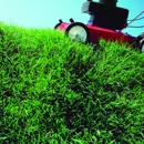 Defabis Grounds Management - Landscaping & Lawn Services