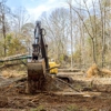 Champion Tree Care gallery