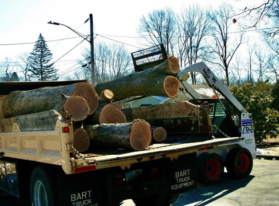 Evergreen Tree Service - Windsor Locks, CT