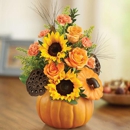 Four Seasons Florist & Gifts - Florists