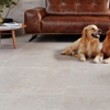 Denver Carpet & Flooring gallery