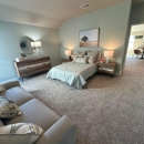 Quality Plus Painting