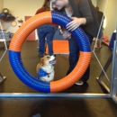 Zom Room Dog Training - Pet Services