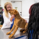 East Metro Animal Emergency Clinic