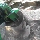 Virginia Stump Grinders - Tree Service