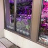 Our Secret Garden gallery