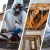 Miami Disaster Restoration Pro gallery