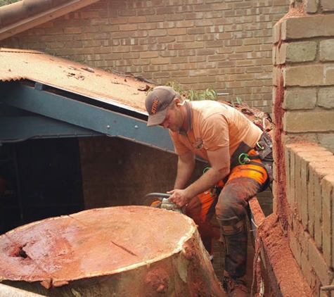 Blackwood Tree Service