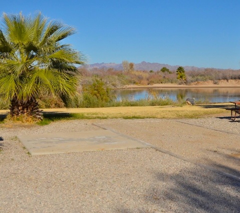 Arizona Oasis RV Resort - Ehrenberg, AZ