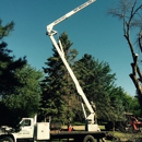 Ray Bensch Tree Service LLC - Arborists