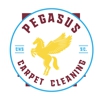 Charleston Carpet Cleaning gallery