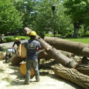 Brother Tree & Lawn Service, LLC - Tree Service