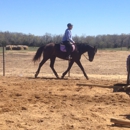 Davidson equestrian - Horse Training