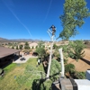 A and C Tree Services gallery