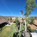 A and C Tree Services - Tree Service
